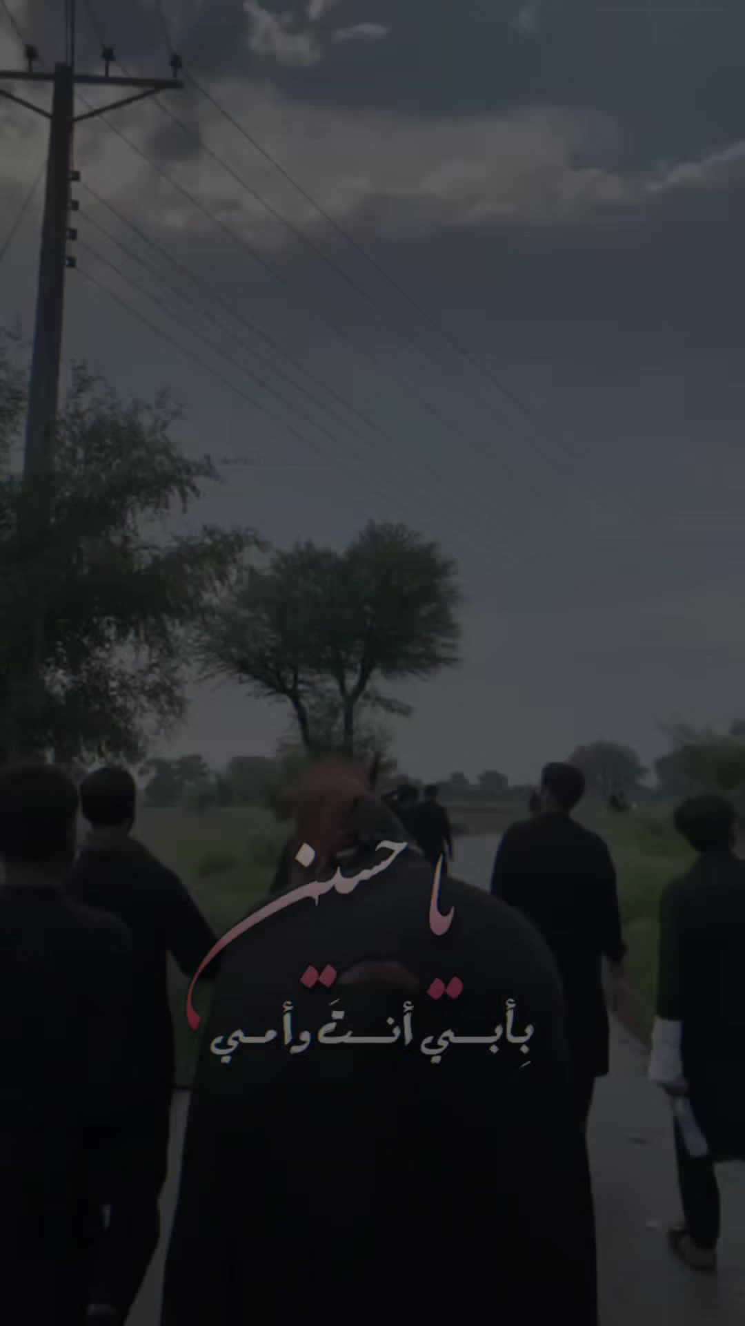 @مرکزی ذوالجناح تلہ گنگ