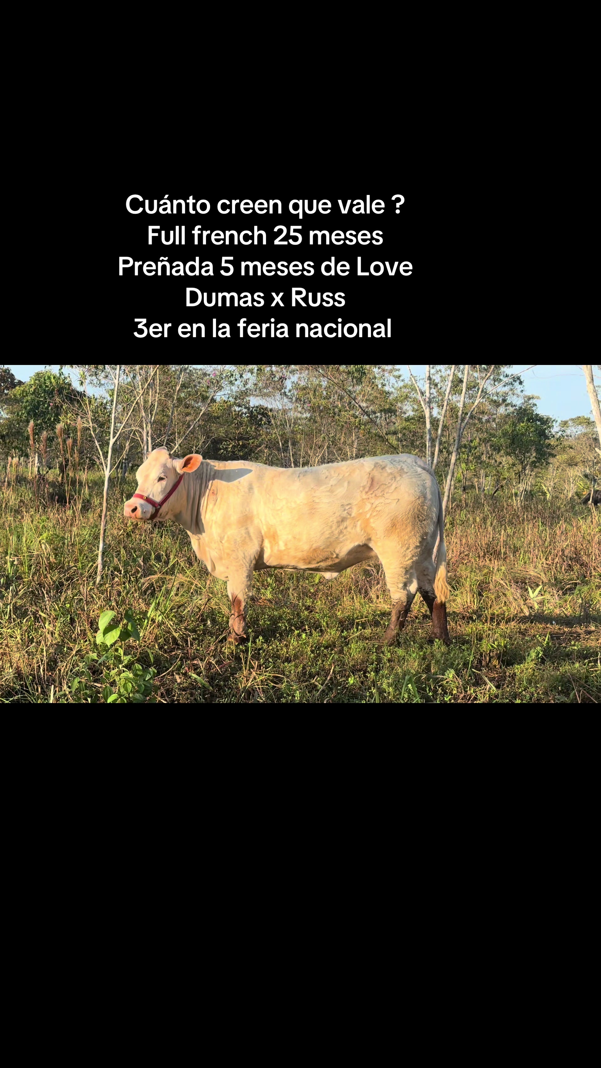 @Hernán Andres