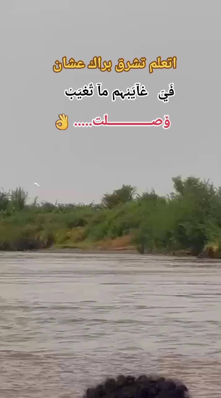 @بـشتـــــــنة (ملك الظرافة) 🤞