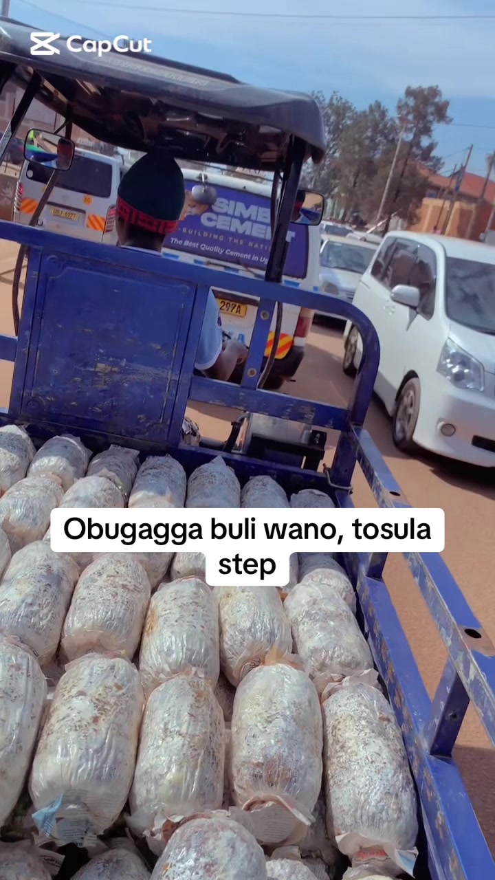 @BLESSED AGRICULTURAL MUSHROOM