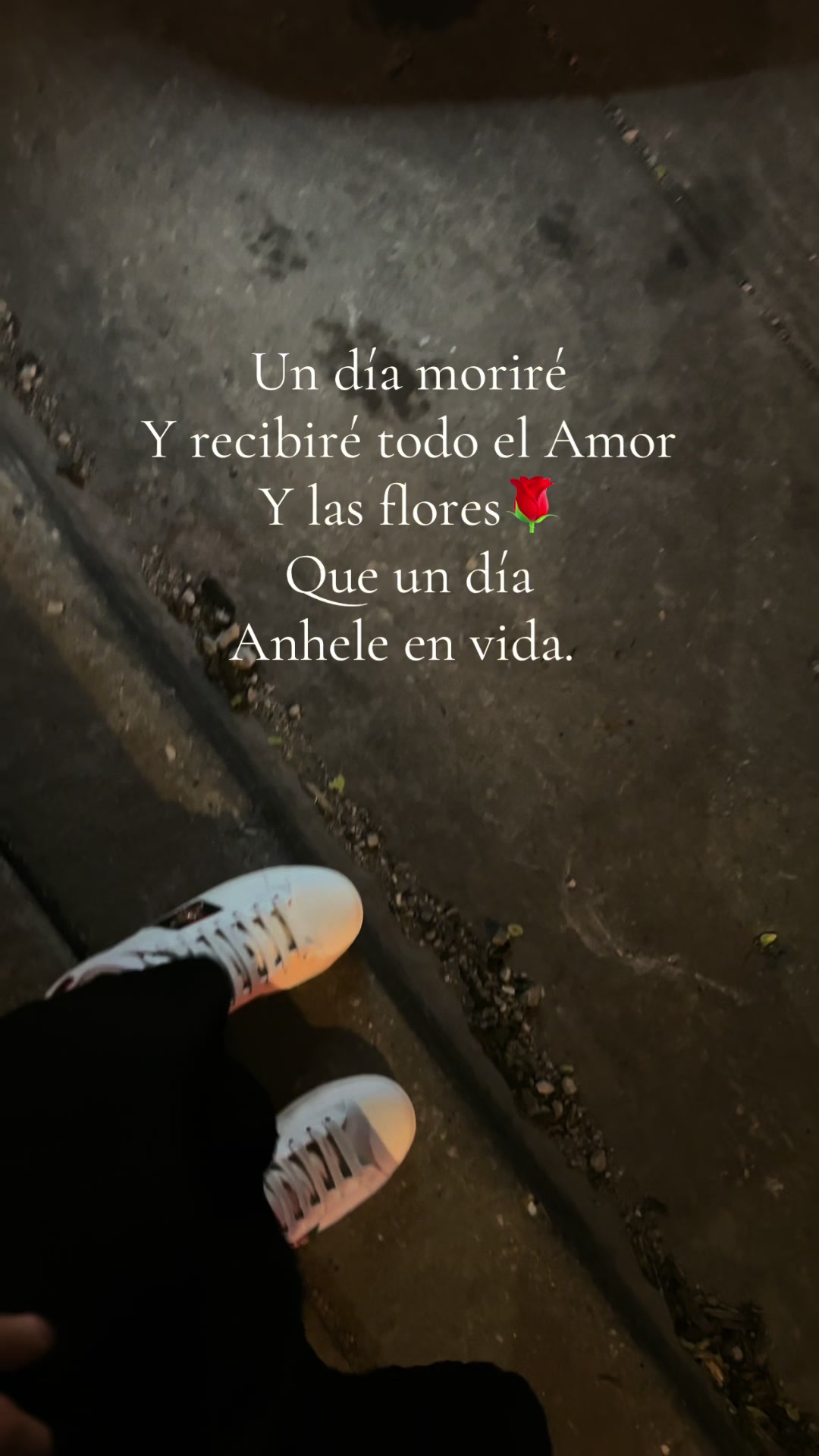 @arelitok