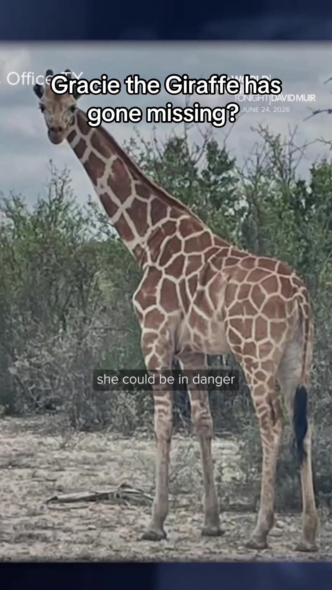 @Cryptid