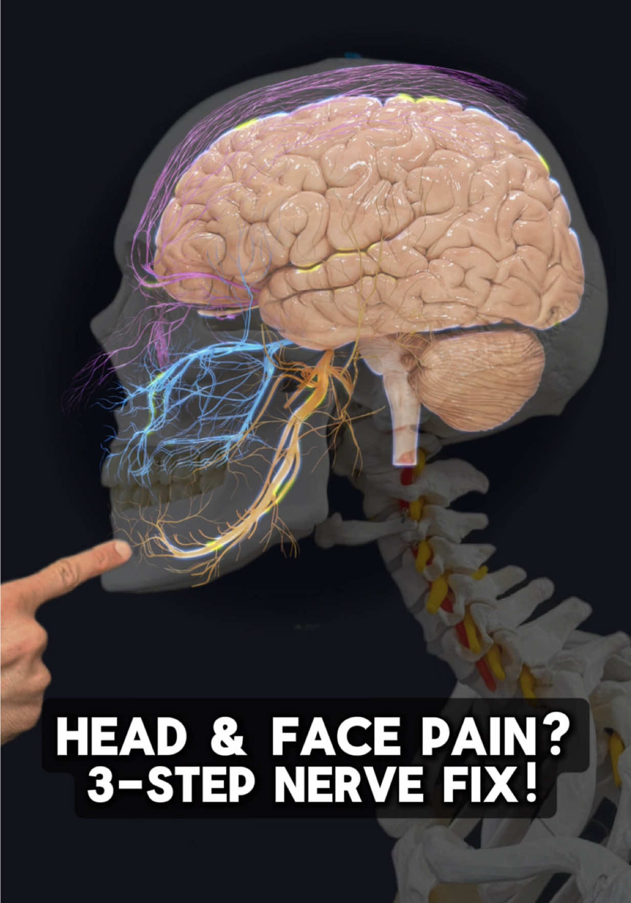 @Dr. Joe Damiani, DPT