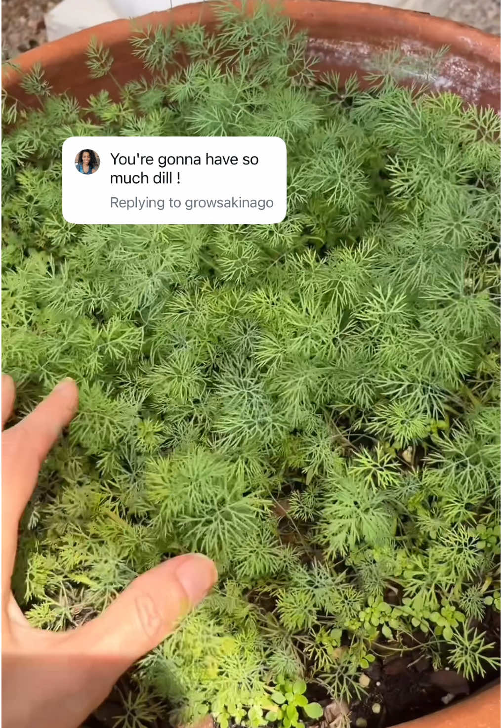 @mary_ketchup