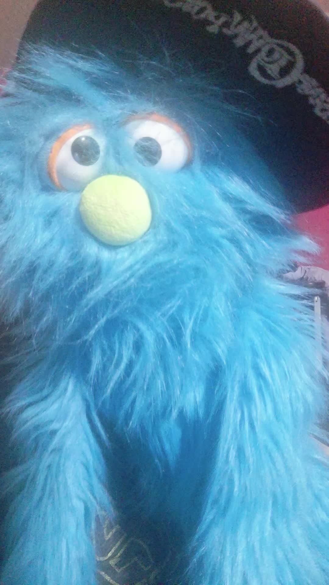 @💙pickelrick/ juggalo Muppet💙