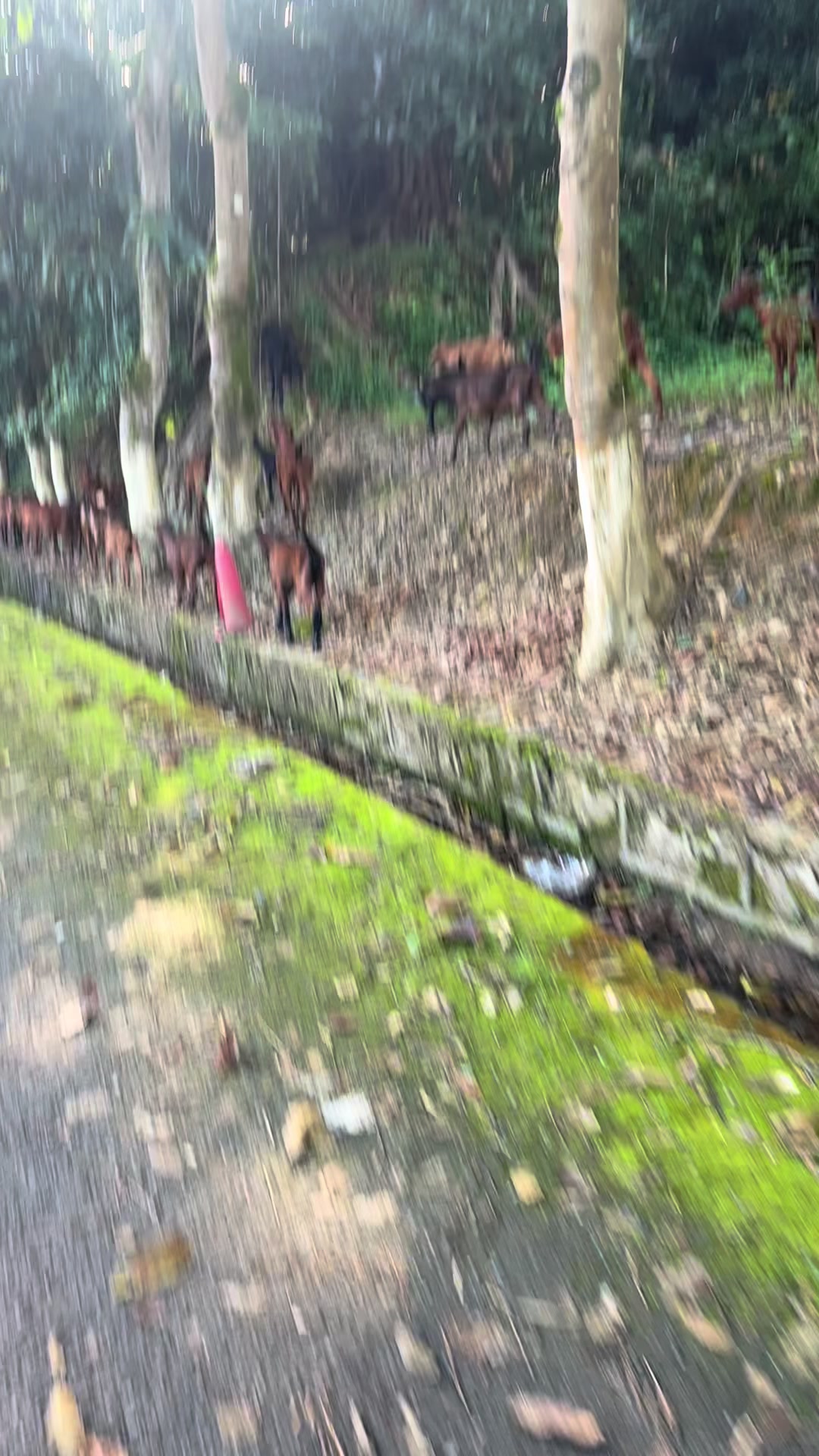 @Kaythilwin
