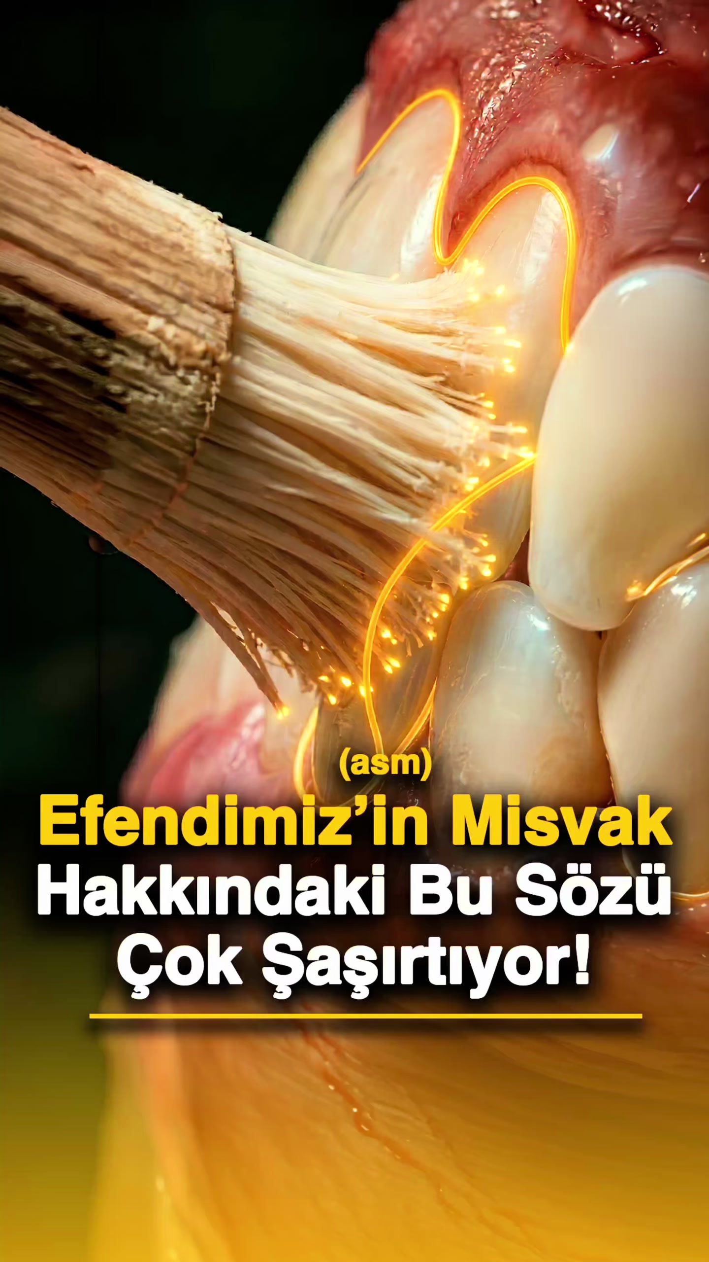 @Hayalhanem İstanbul