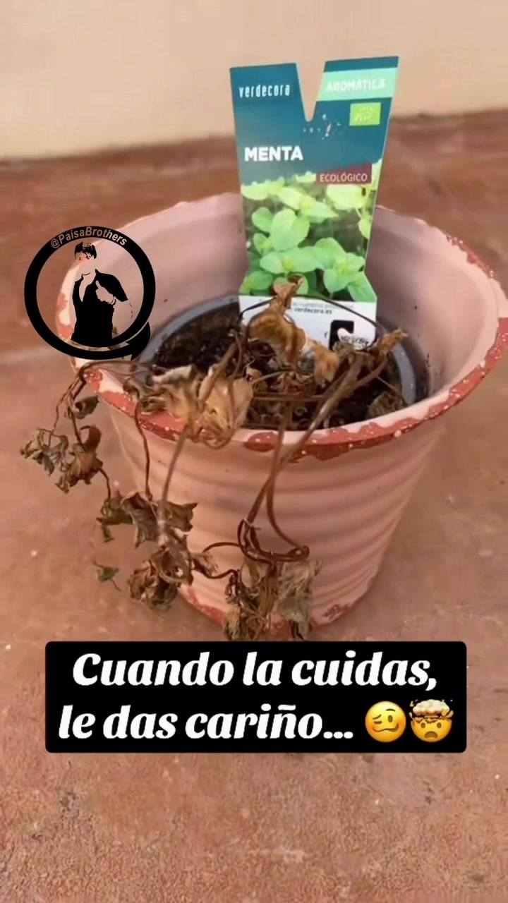 @PaisaBrothers