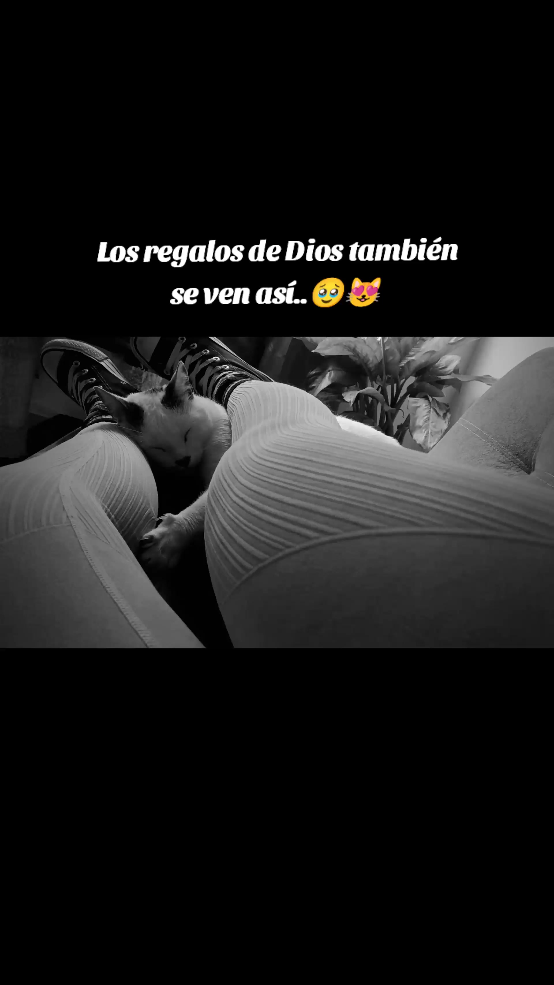 @Mejía_Klau