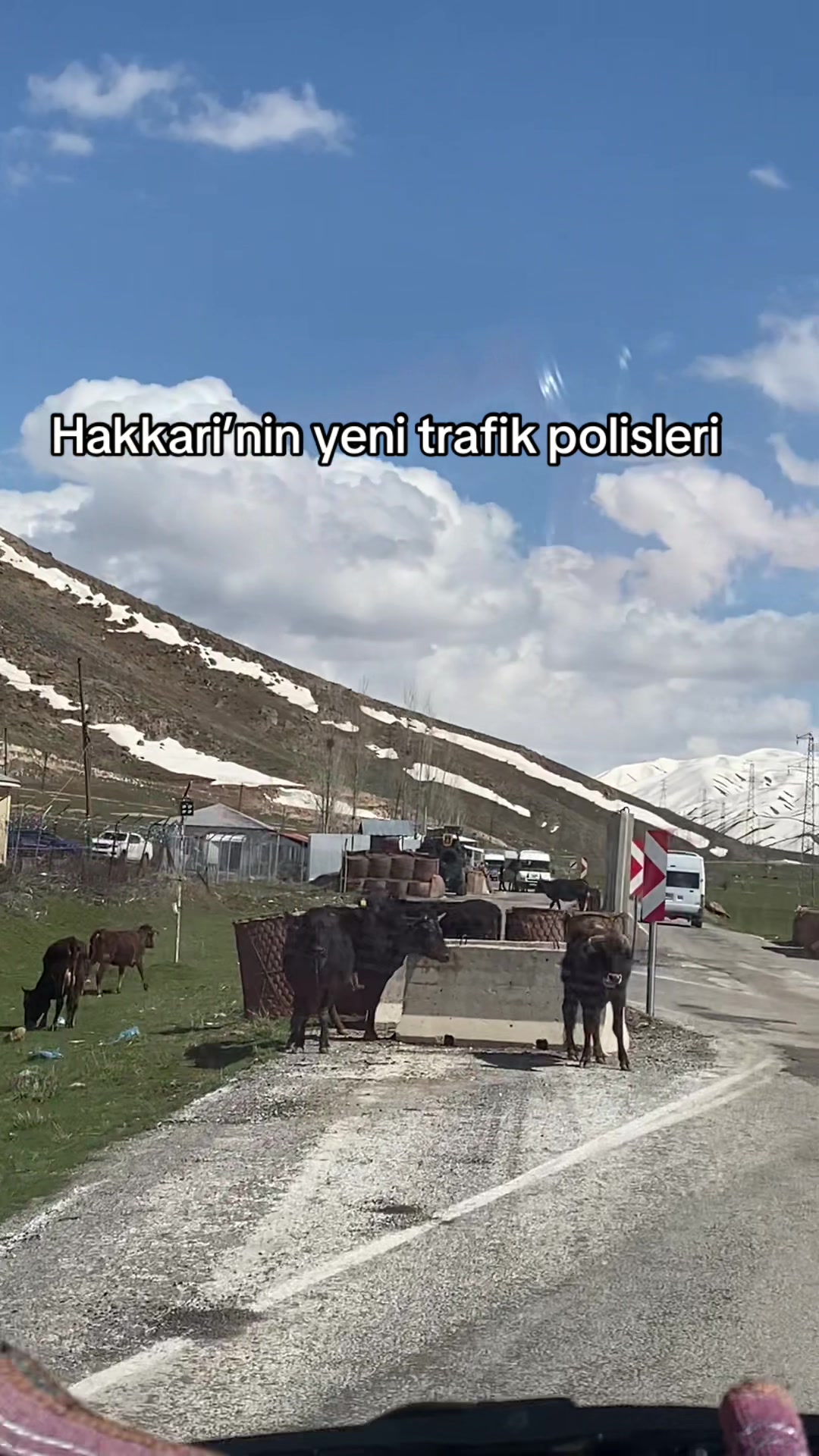 @Behcet Kaplan✪