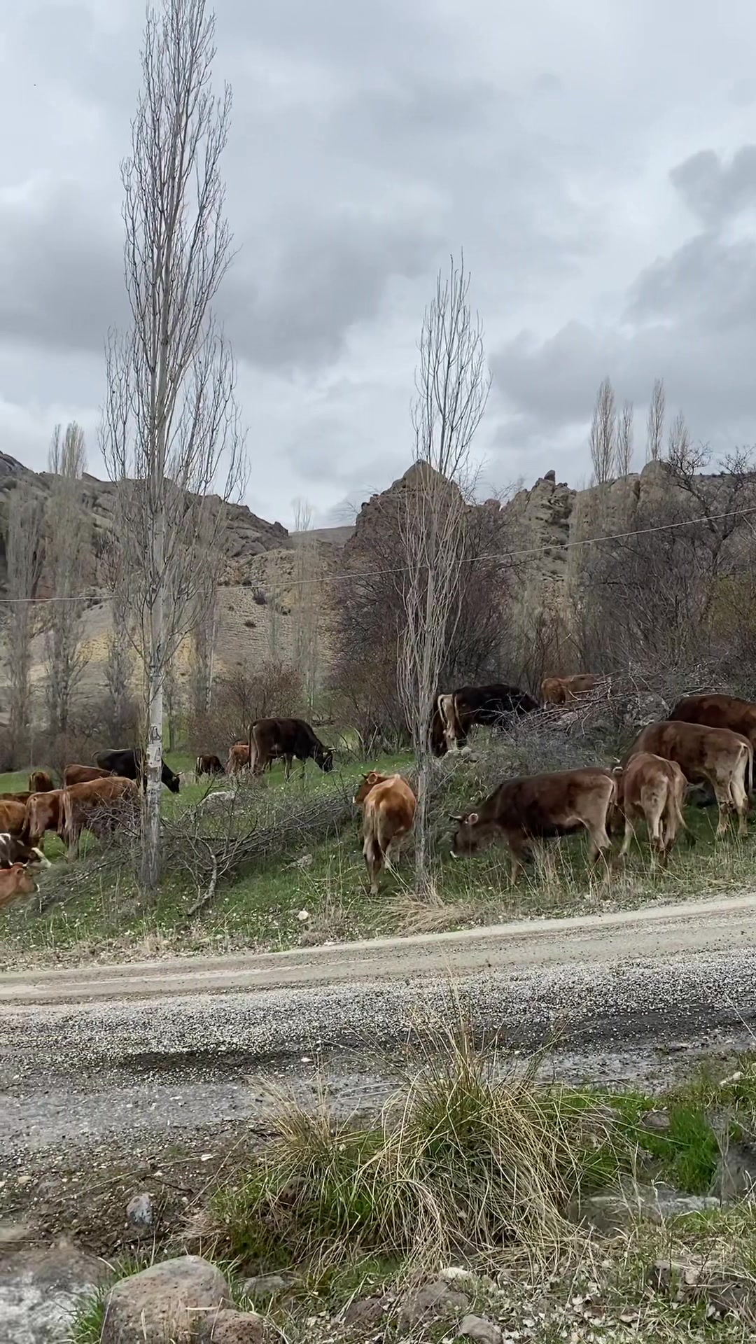 @doğukan