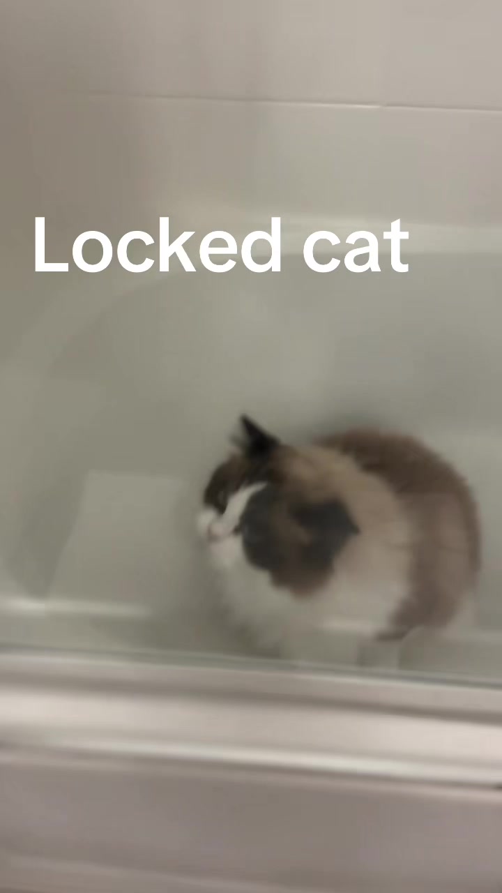 @Stimky
