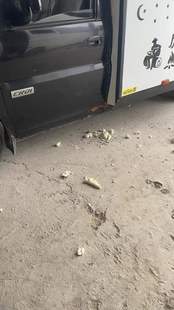 @&ouml;ZAY KARAVAN