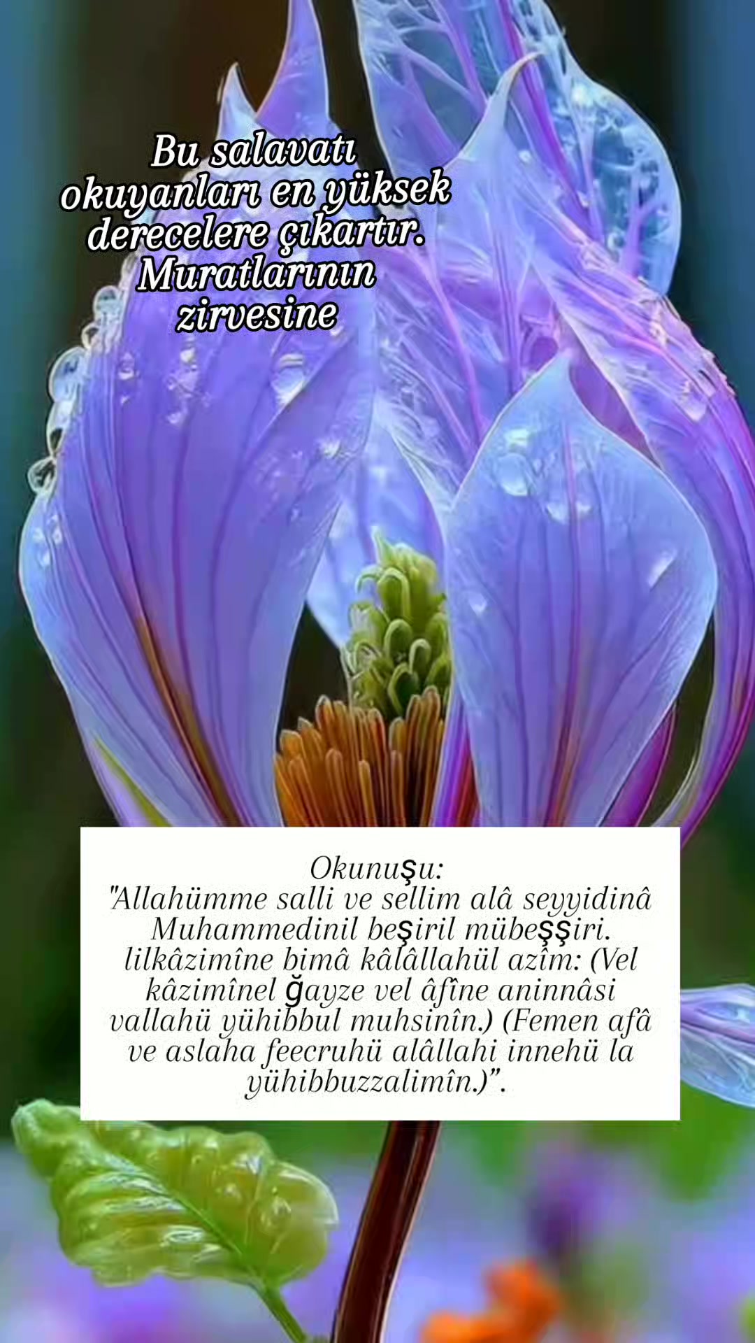 @hayat nereye gidiyor
