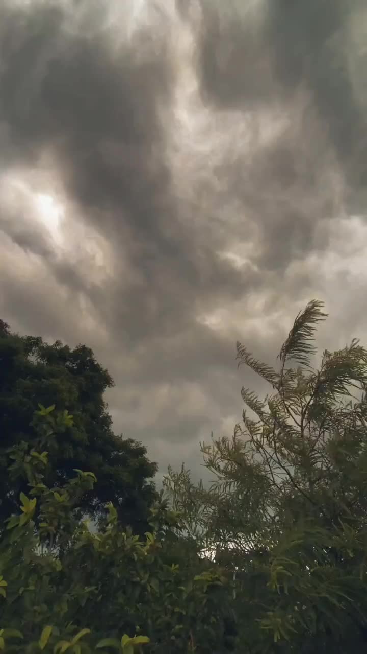 @𝐂 𝐇 𝐀 𝐑 𝐒 𝐈 "