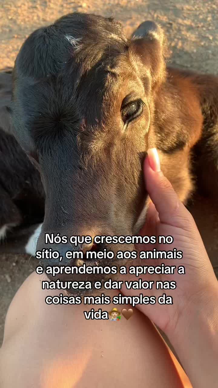 @Marcela Araujo