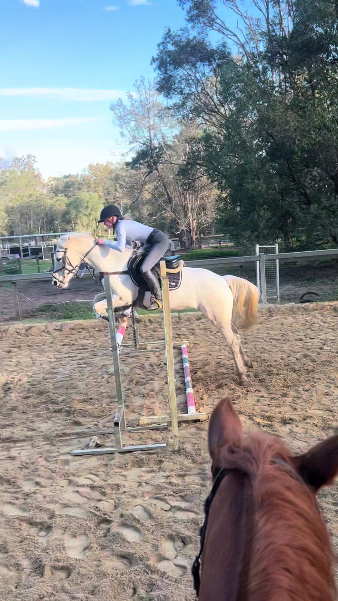 @lili.may_eq