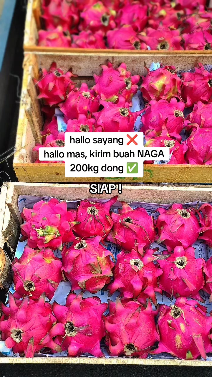 @PUTRA NIAGA