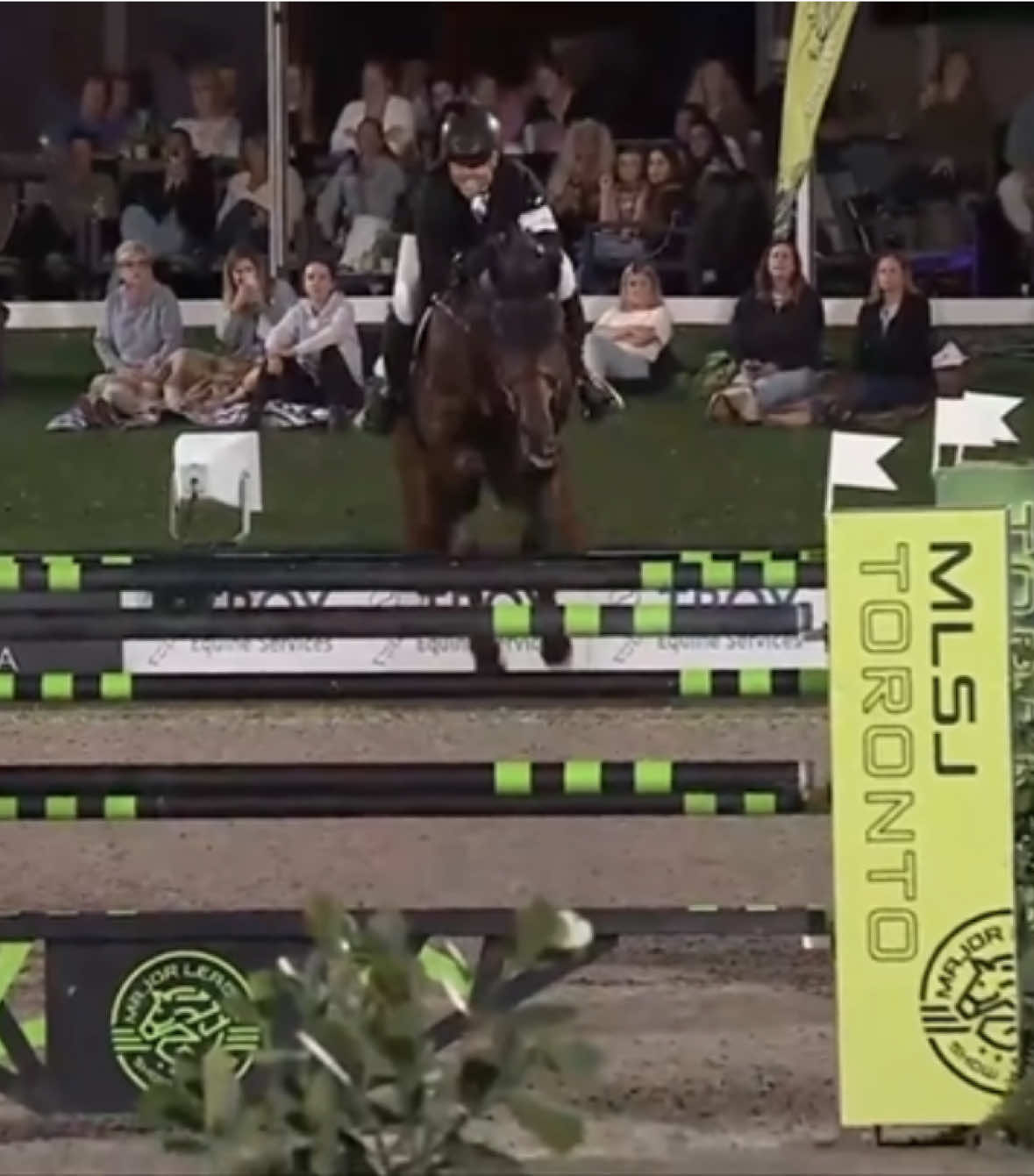@Major League Show Jumping