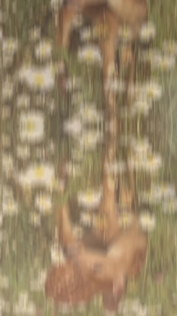 @ツ░🅾🆄🆂🆂🅰🅼🅰✪⃝★🥷⚔💜🦁『🥇』
