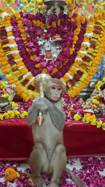 @Niti