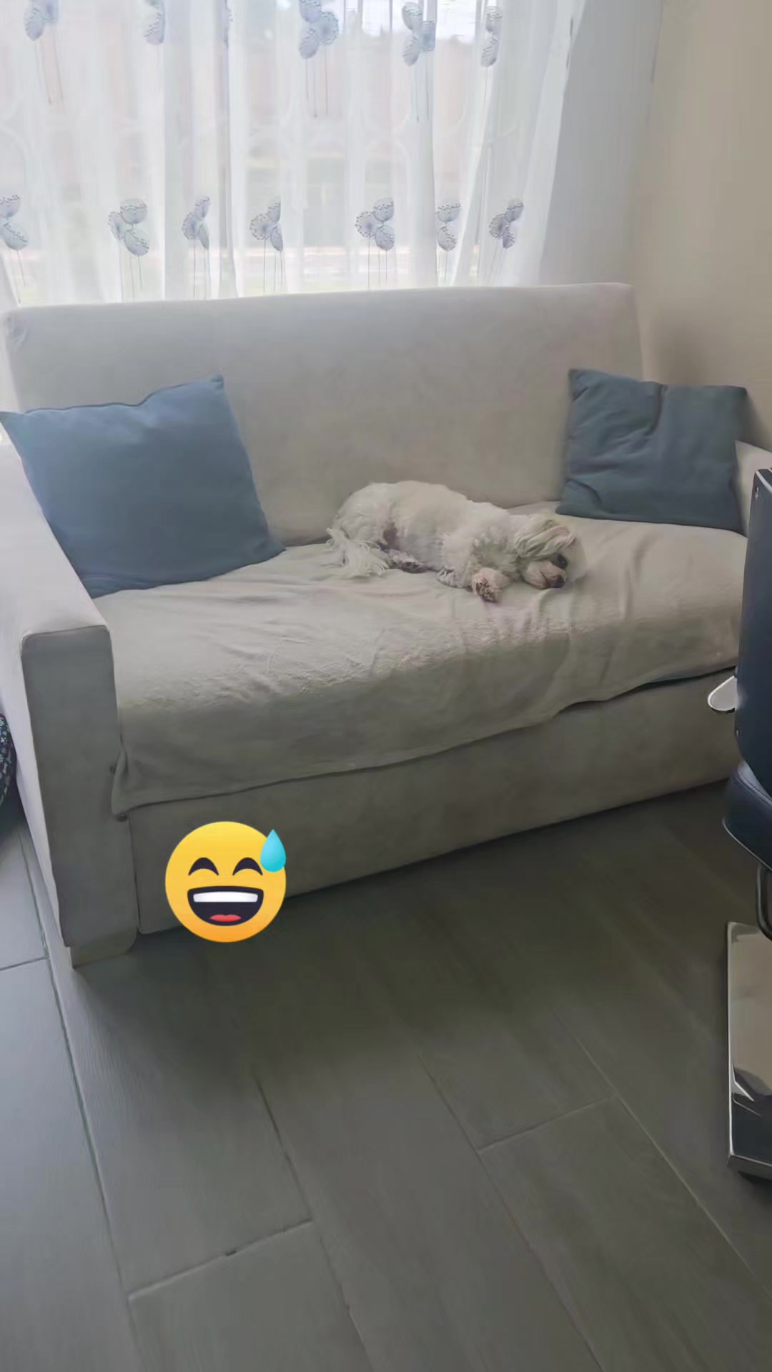 @Maria Angelica Villa