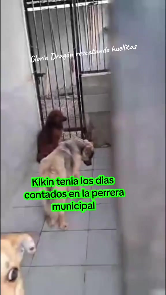 @Gloria Arellano Ramirez