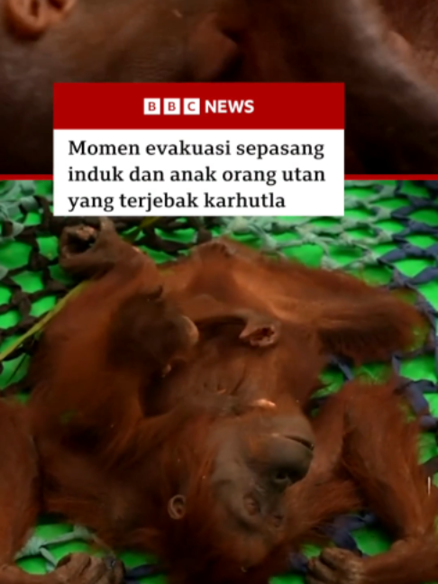 @bbcnewsindonesia