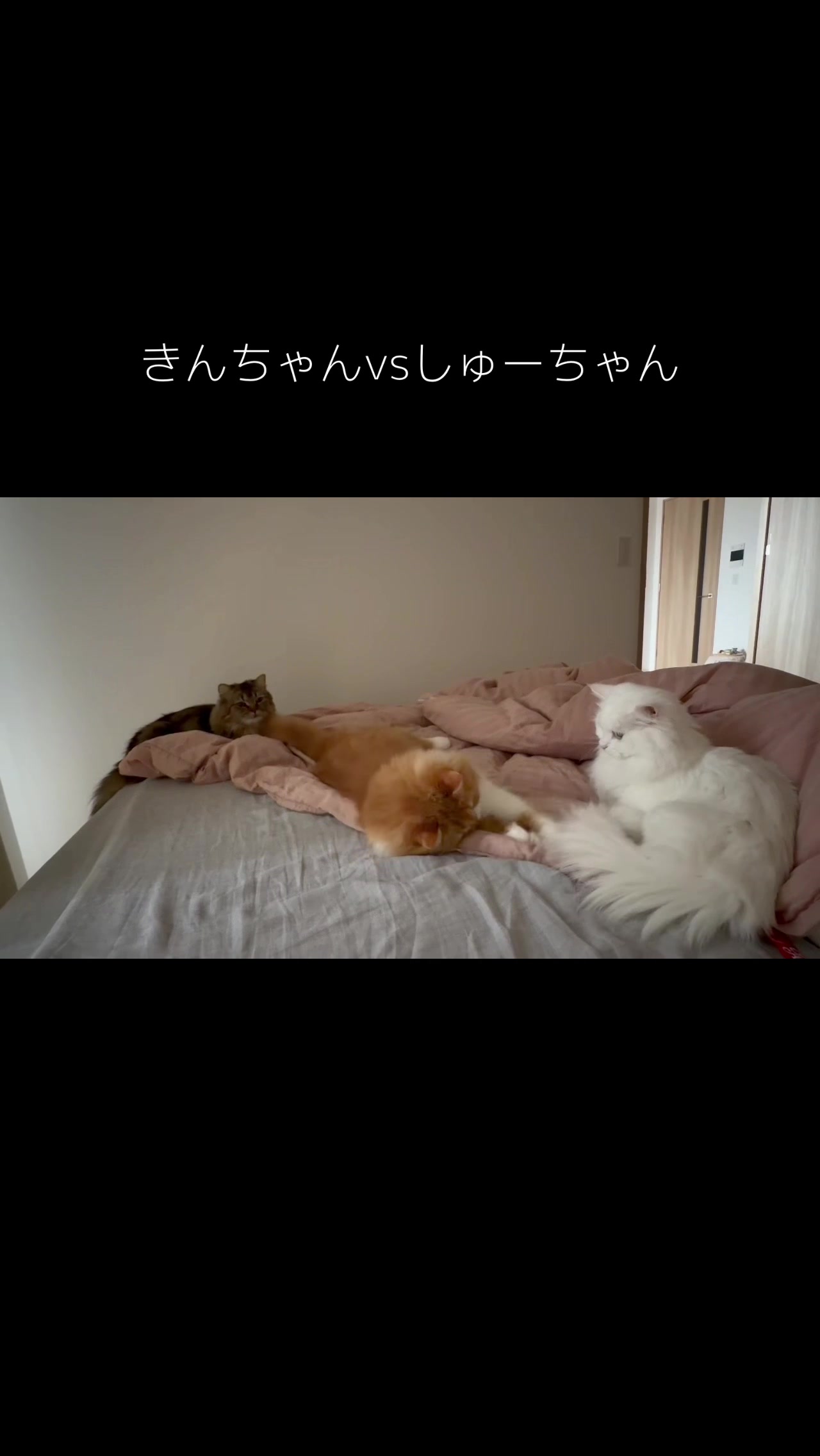 @ごろ