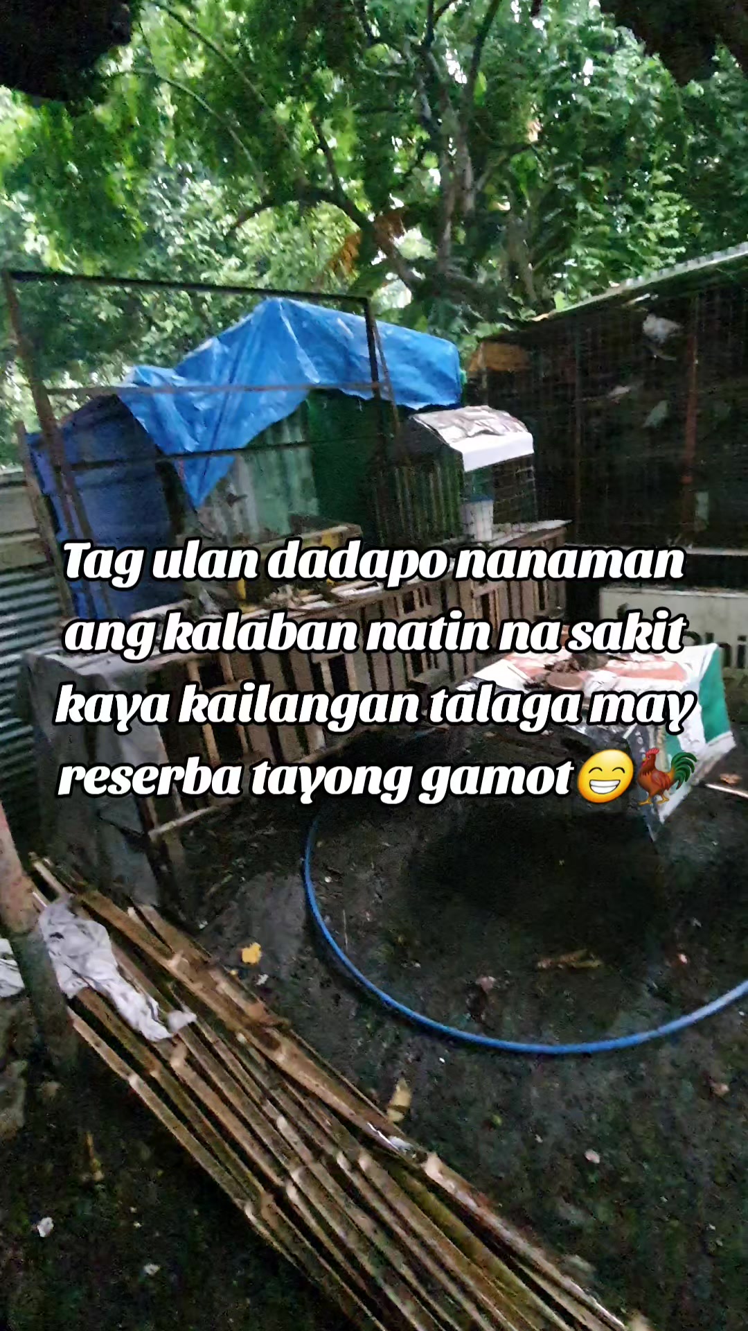 @Tatuy's BKYRD