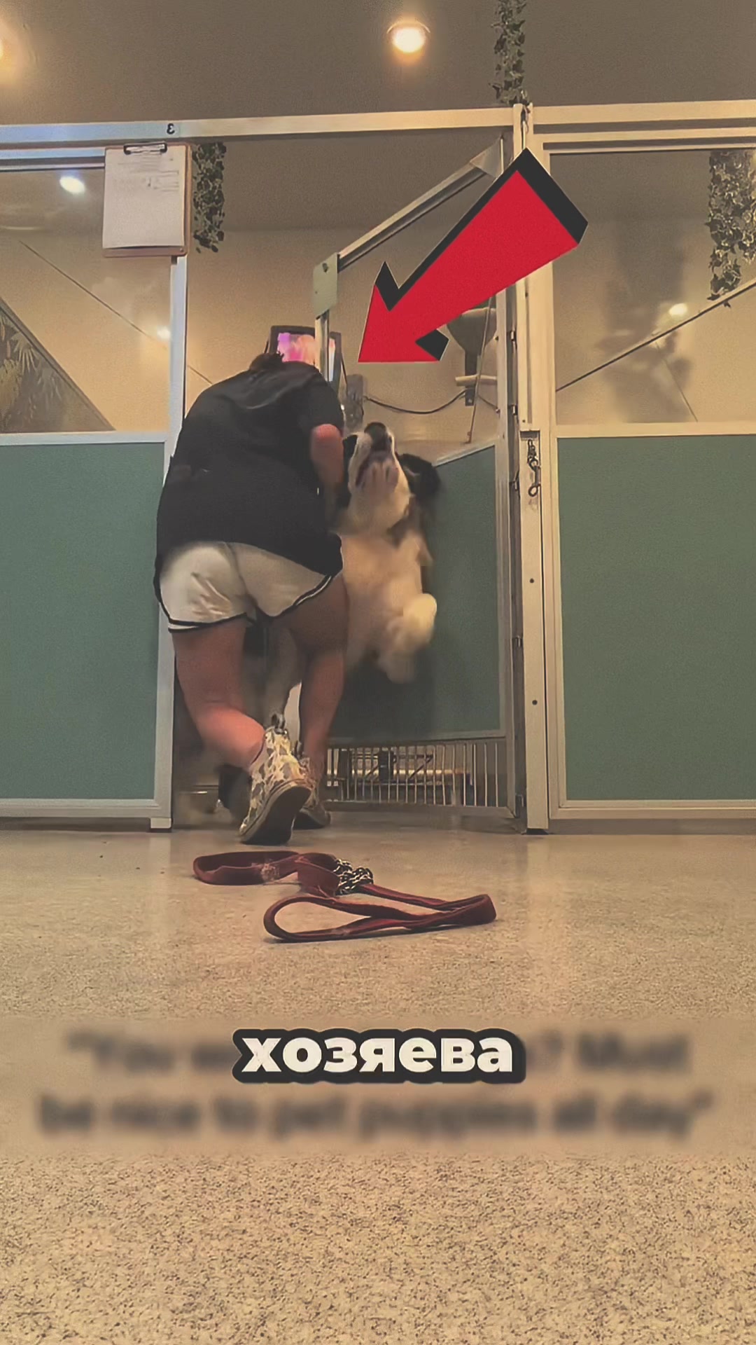 @Troookking