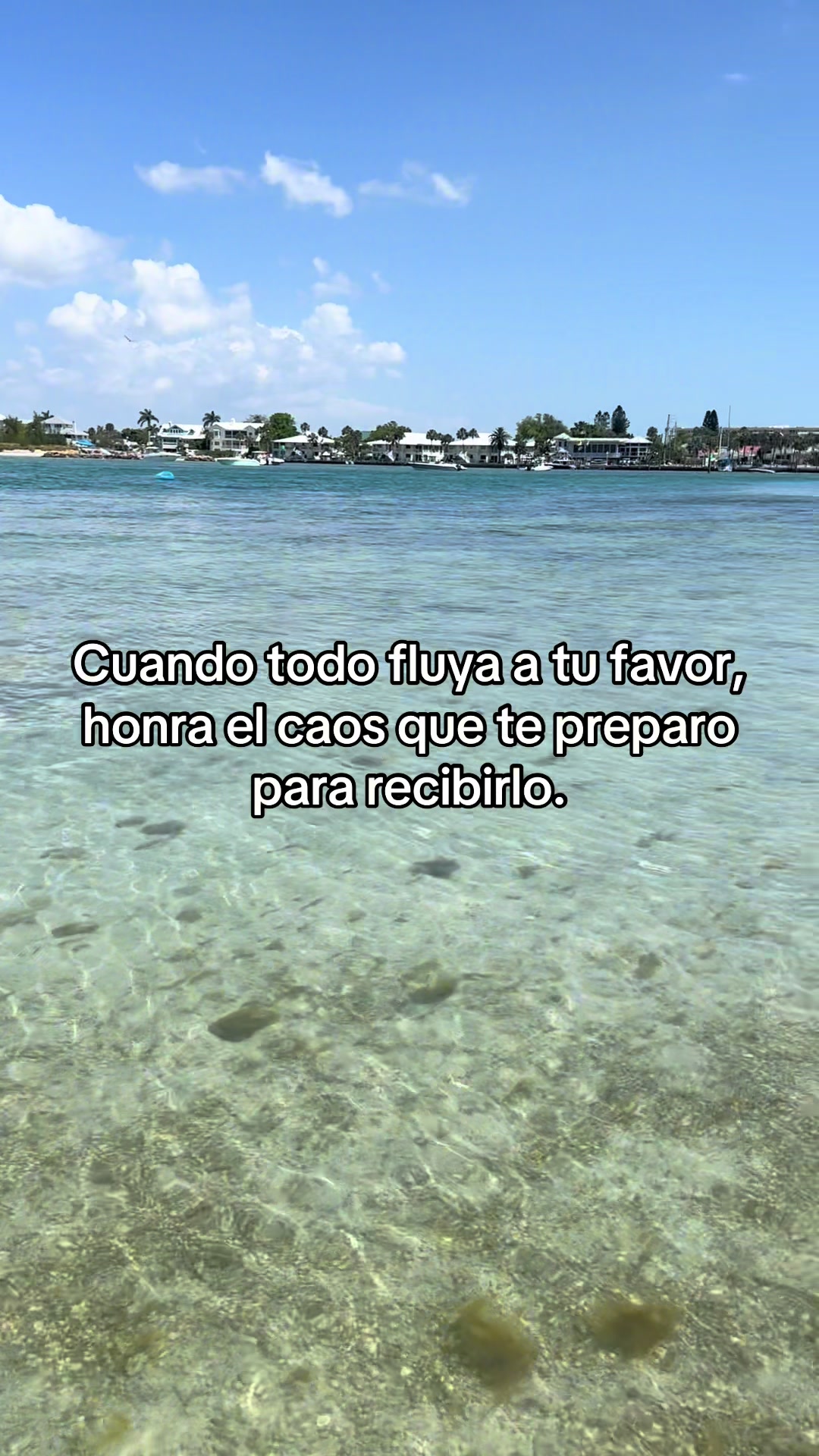 @Oswaldovillamizarm