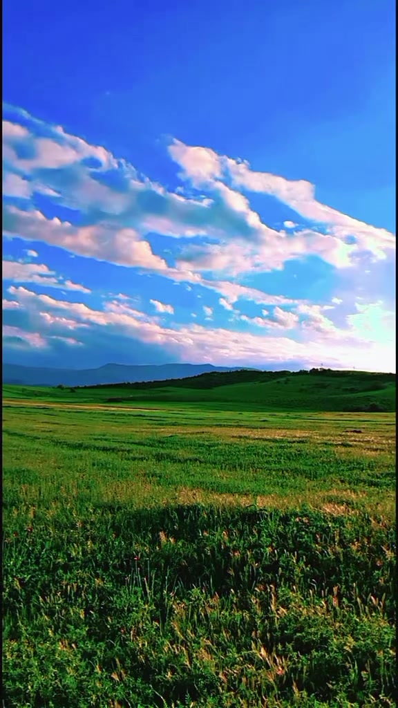 @__ferzeliyef__