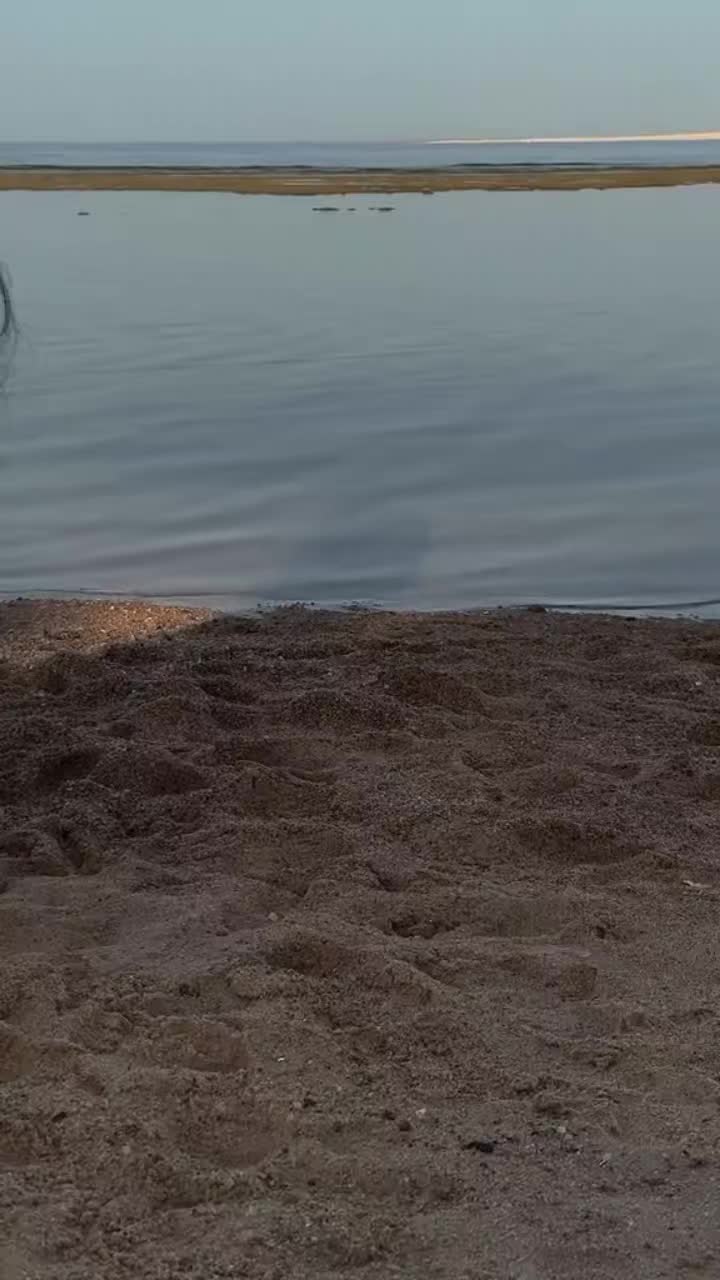 @Aurora