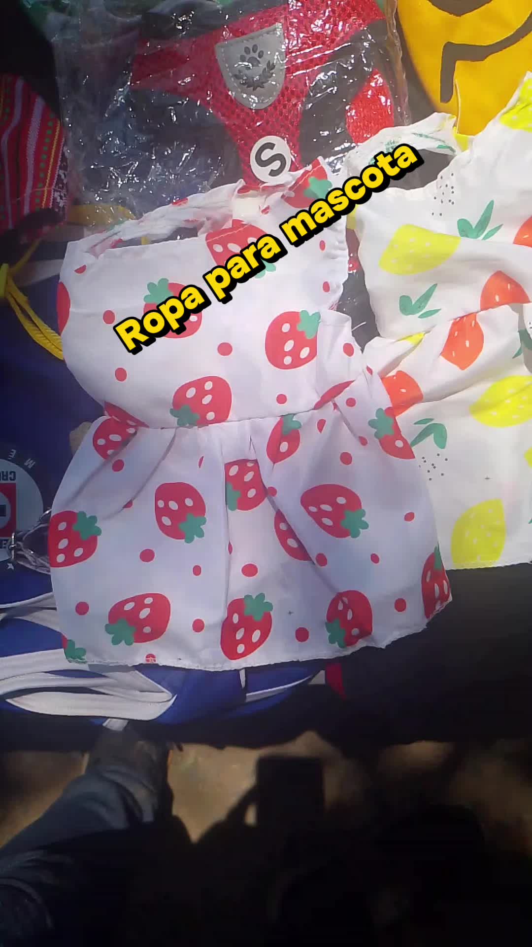 @reposteriacreativa0619@