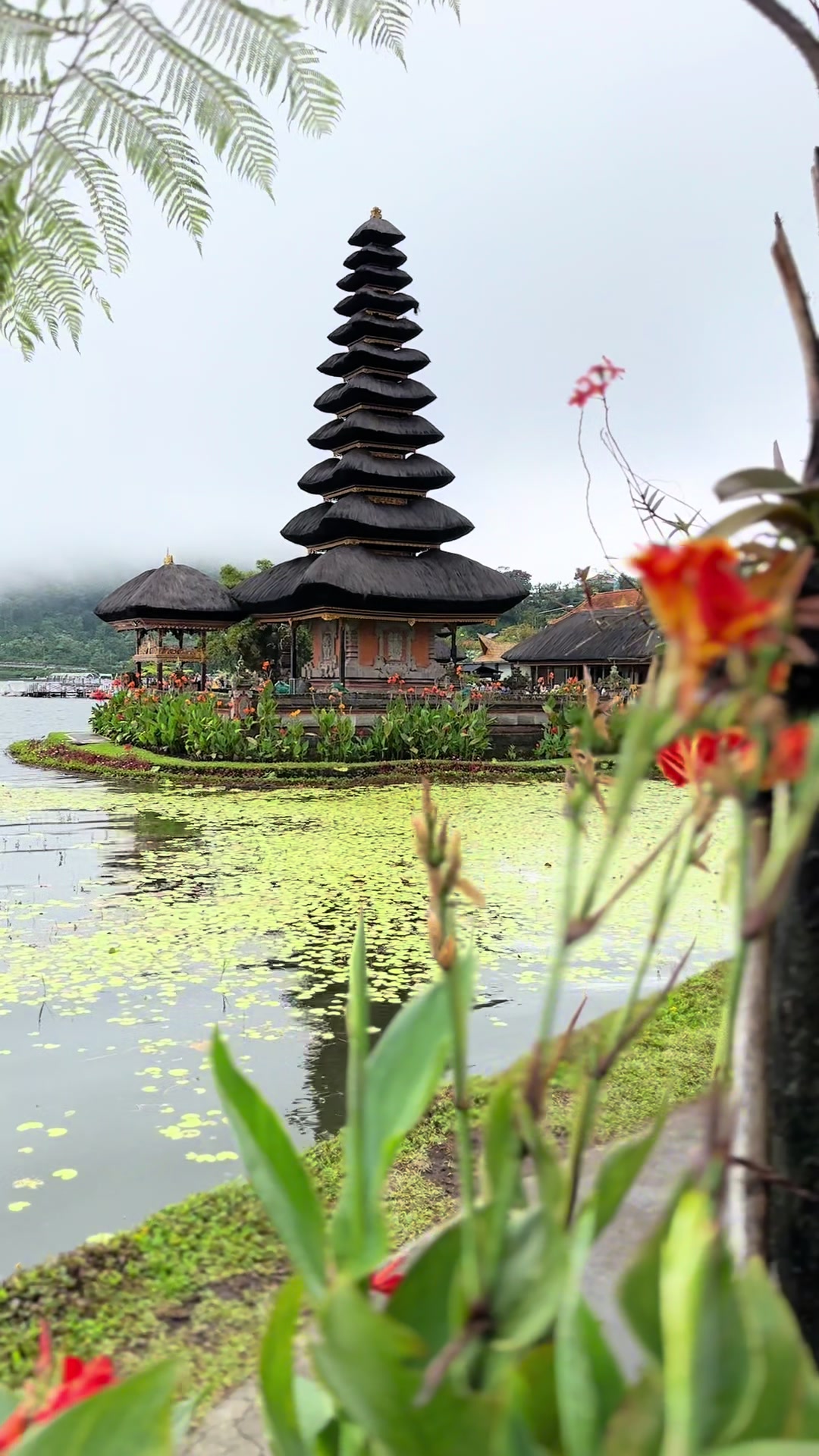 @Legong bali tour