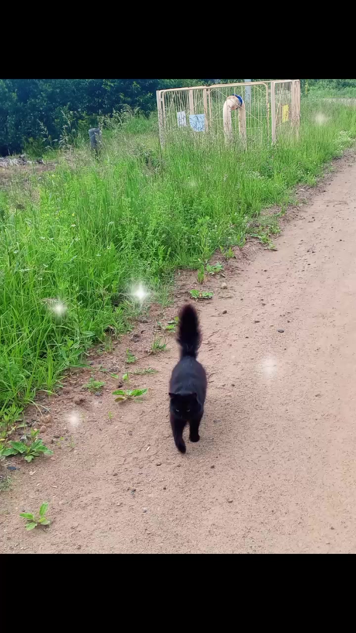 @🎀💜Гульнарик♒ТэVодолей💜🎀