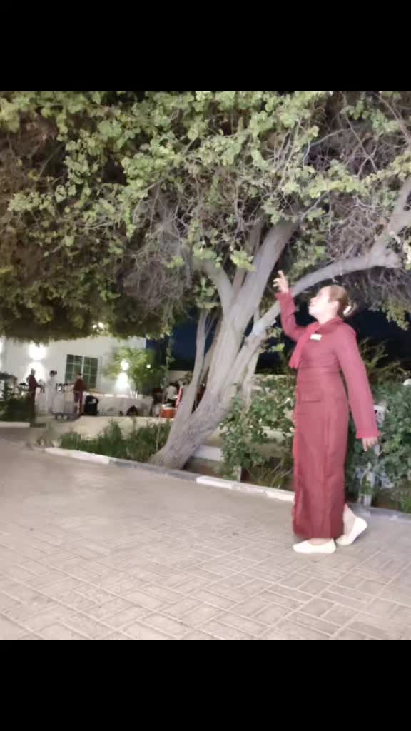@Susana Quinamot Gamo
