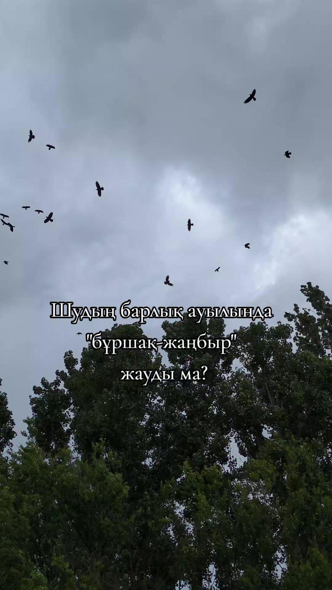 @Шу ауданы