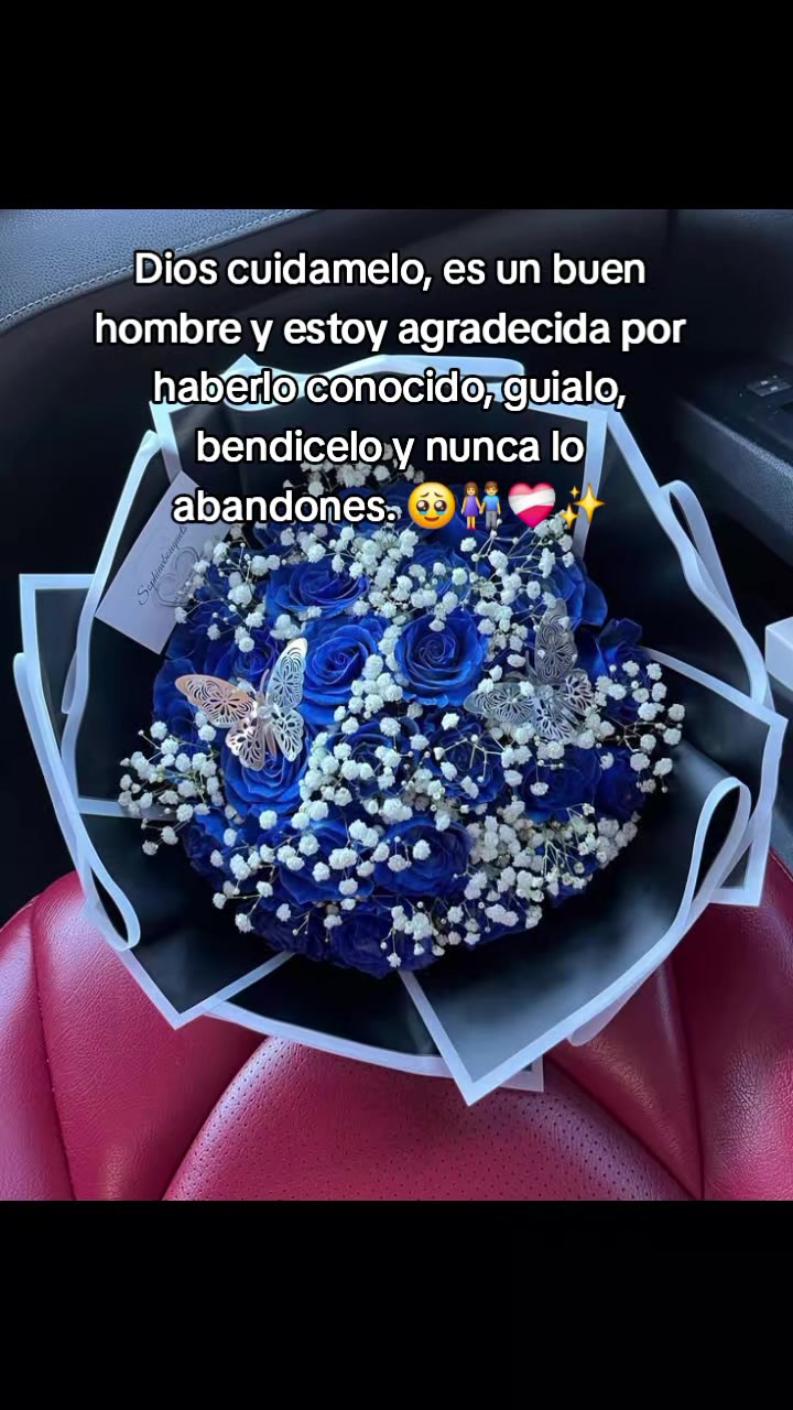 @🫀Chispita🧠 Alegre 💥