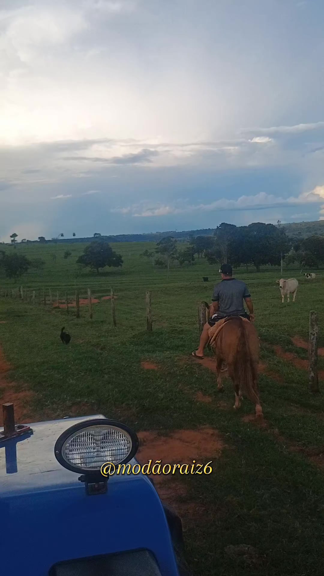 @Mod&atilde;o Raiz - Sertanejo 🎶