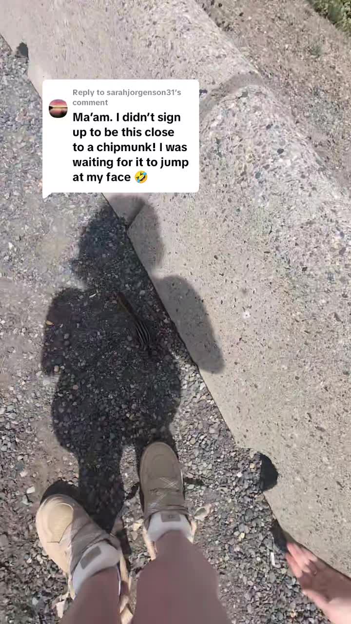 @CJ