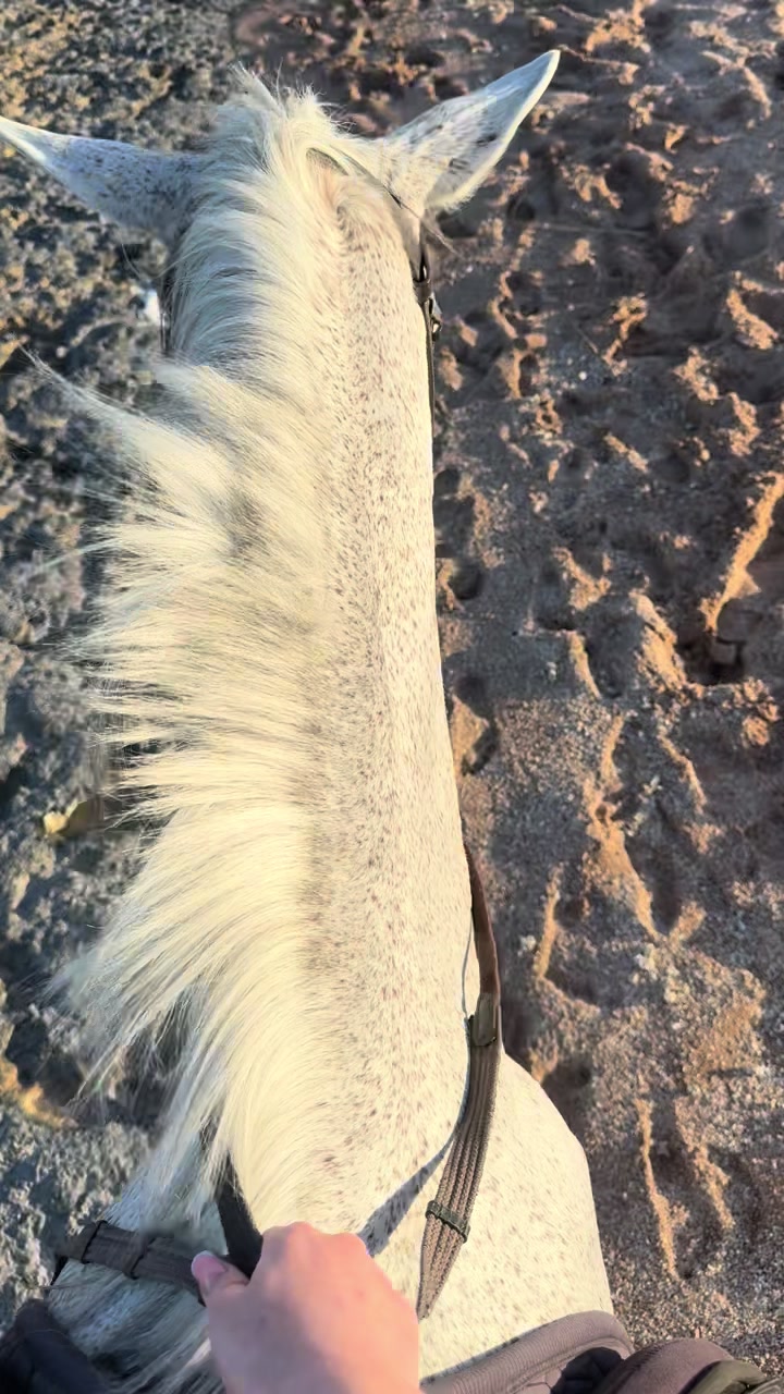 @лилечеккк