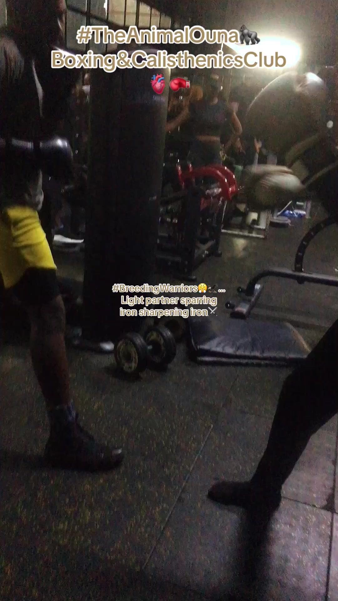 @TheAnimalOuna🦍&hellip;