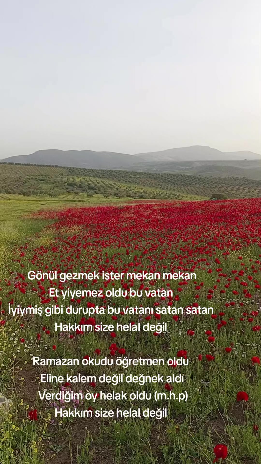 @Ramazan Korkmaz