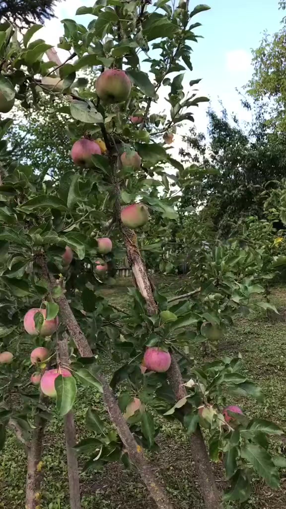@НАДІЯ🌺
