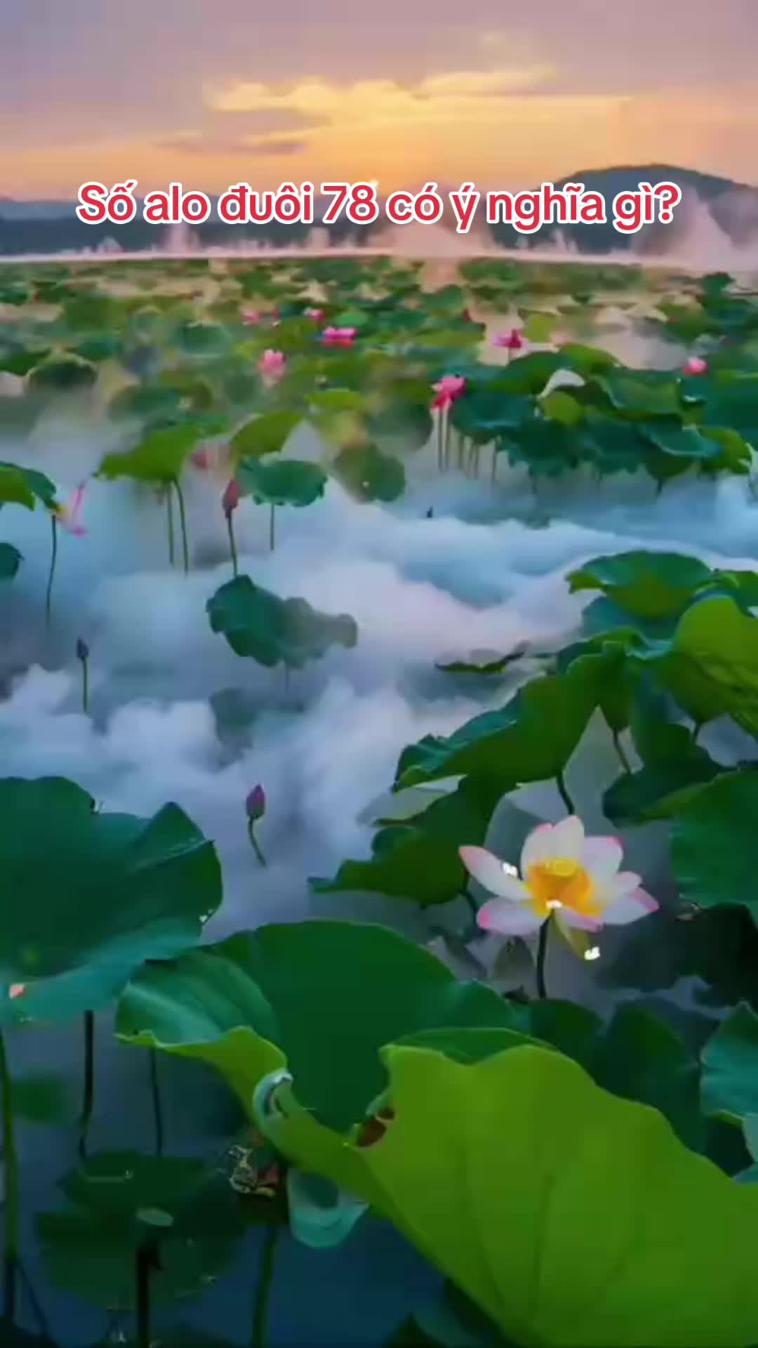 @Hoa Hướng Dương 6768
