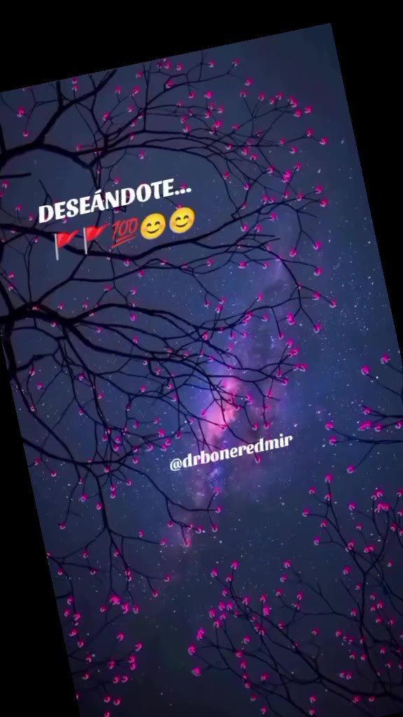 @🦴🦴 B O N E 🦴🦴