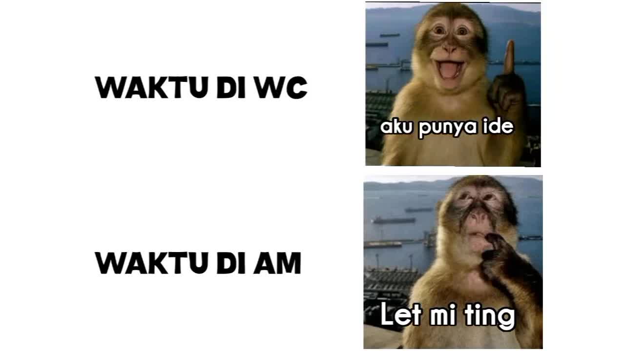 @D💠