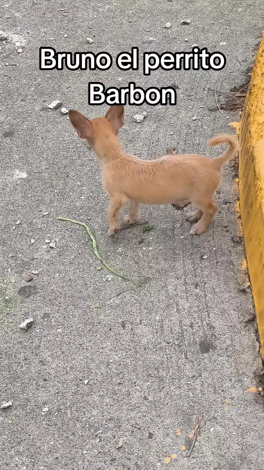 @Benny